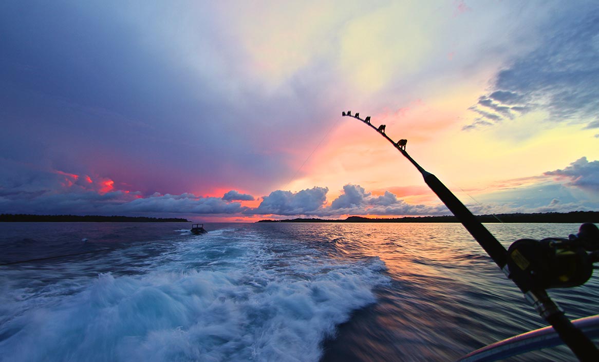 Forfaits de pêche au saumon coho — Blue Shark Charters – Blue Shark Charters