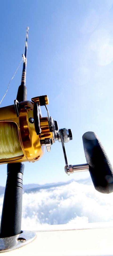 Forfaits de pêche au saumon coho — Blue Shark Charters – Blue Shark Charters